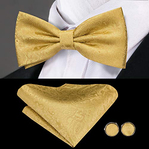 Dubulle Mens Paisley Floral Cummerbund and Bowtie Silk Pretied Bow Ties for Men Handkercheif Cufflinsk Set,A gold - Image 4