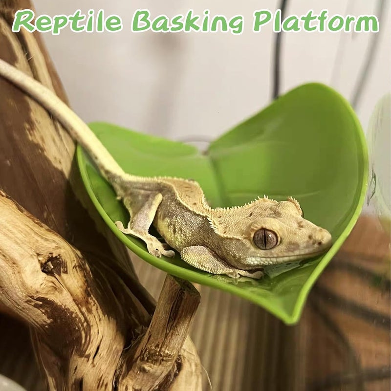 kathson Crested Gecko Tank Accessories - Image 3