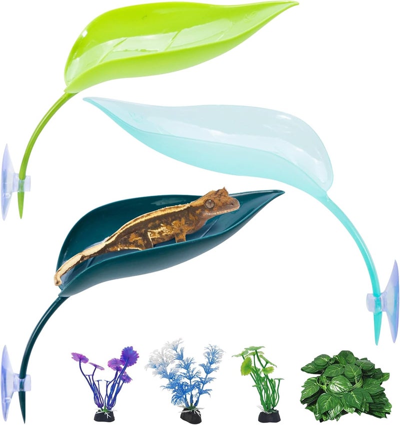kathson Crested Gecko Tank Accessories - Image 1