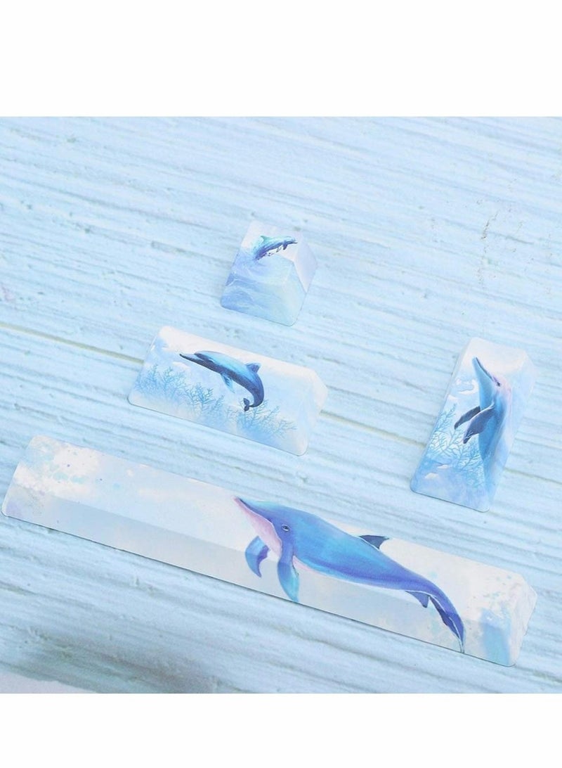 Captaintech Keycap, game mechanical keyboard space keycap general computer keyboard cap landscape painting PBT4 key space 6.25U ESC - Image 2