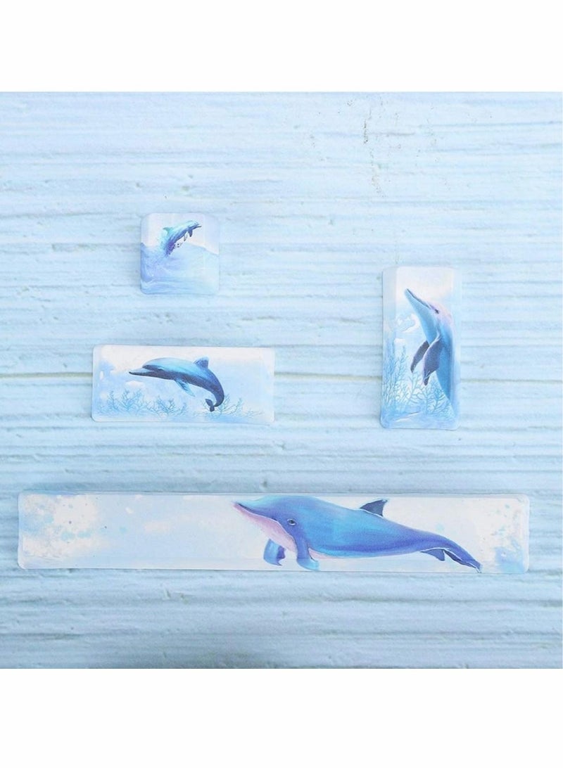 Captaintech Keycap, game mechanical keyboard space keycap general computer keyboard cap landscape painting PBT4 key space 6.25U ESC - Image 3