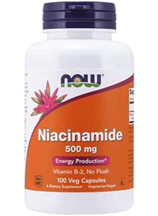 Niacinamide Vitamin B-3 Capsules (100 Caps, 500mg)