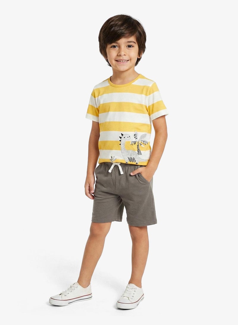 Pinata Dinasour Print  Stripe Tshirt and Shorts Set - Image 1