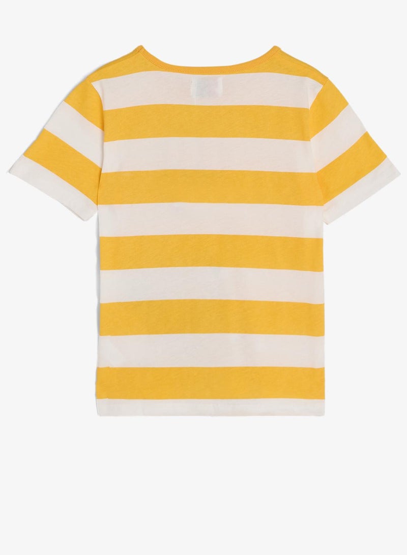 Pinata Dinasour Print  Stripe Tshirt and Shorts Set - Image 4