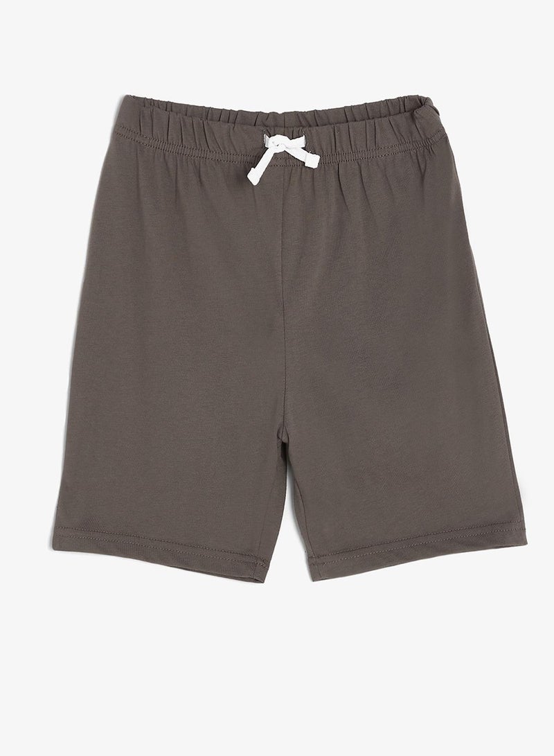 Pinata Dinasour Print  Stripe Tshirt and Shorts Set - Image 5