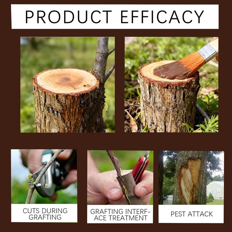 Zriechs Tree Wound Pruning Sealer,Tree Wound Dressing with Brush, Bonsai Cut Paste, Trees Grafting Supplies, Pruning Sealer for Bonsai, Fruit Trees, Roses (1 PCS,100 g) - Image 4