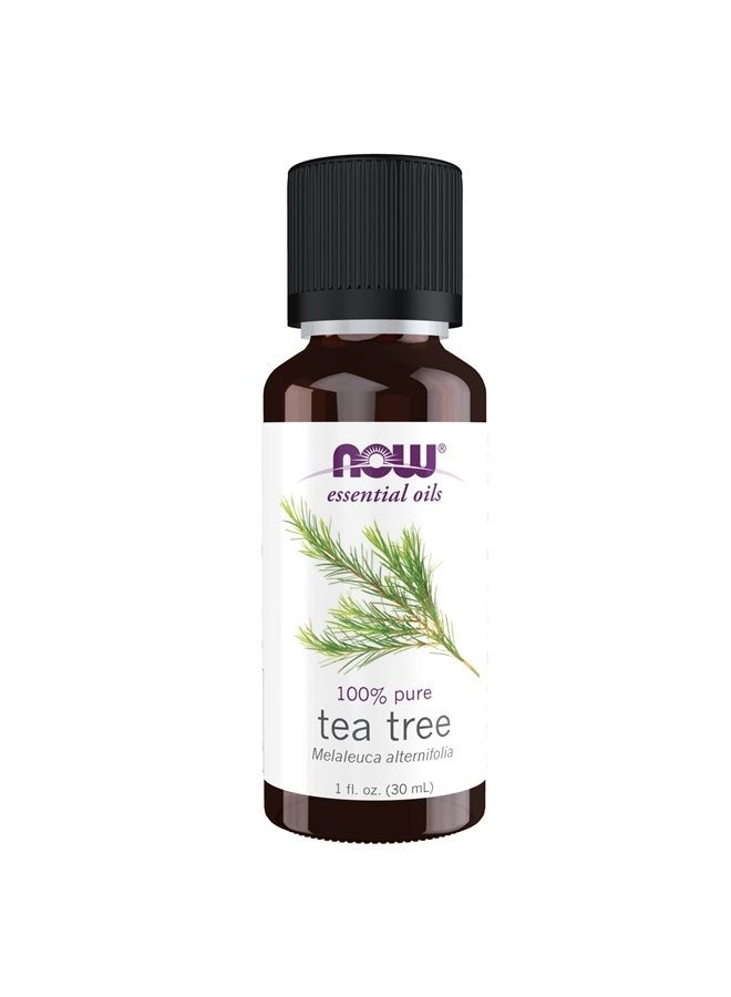 now Essential Oils, Tea Tree Oil, Cleansing Aromatherapy Scent, Steam Distilled, 100% Pure, Vegan, Child Resistant Cap, 1-Ounce - Image 1