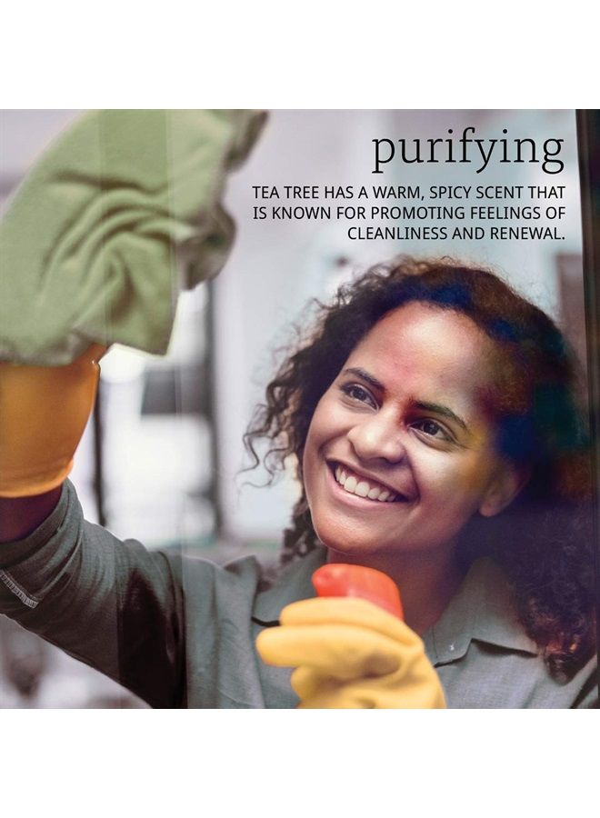 now Essential Oils, Tea Tree Oil, Cleansing Aromatherapy Scent, Steam Distilled, 100% Pure, Vegan, Child Resistant Cap, 1-Ounce - Image 4