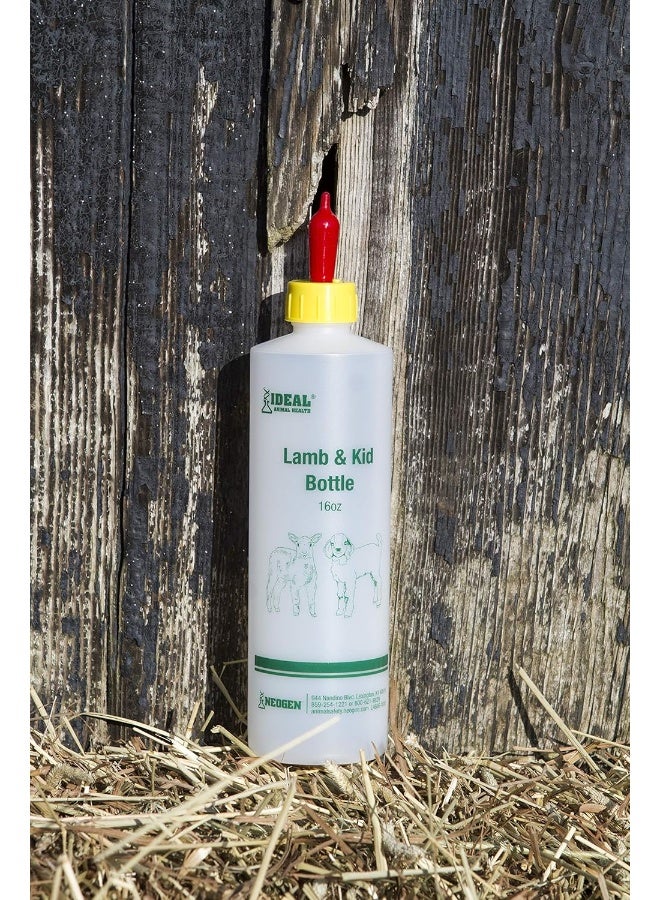 Neogen Lamb & Kid Bottle 16oz w/ Red Screw-On Teat - Image 2