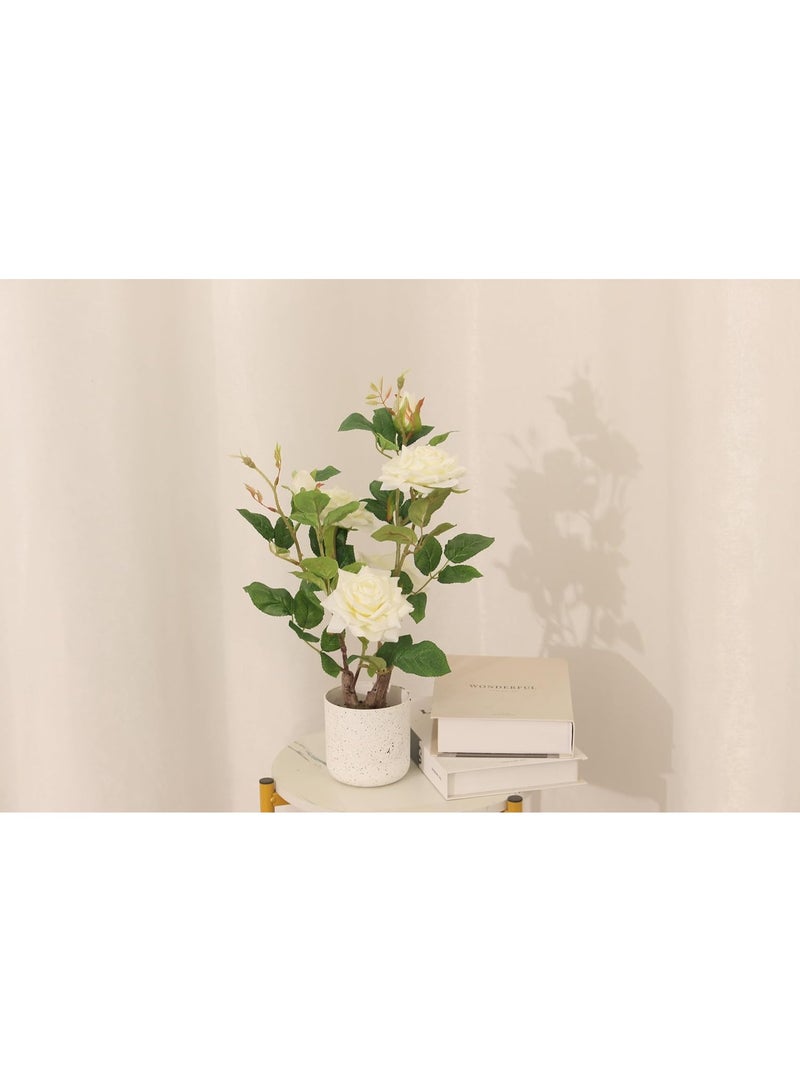Marcolo Artificial White Rose Bonsai Tree 40cm with Decorative Pot | Faux Rose Flower Indoor Plant for Home, Office Desk & Table Decor - Image 5