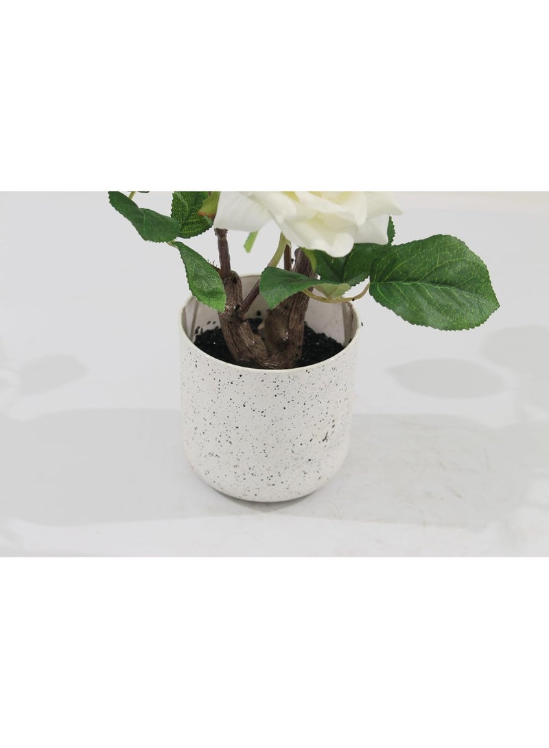 Marcolo Artificial White Rose Bonsai Tree 40cm with Decorative Pot | Faux Rose Flower Indoor Plant for Home, Office Desk & Table Decor - Image 4