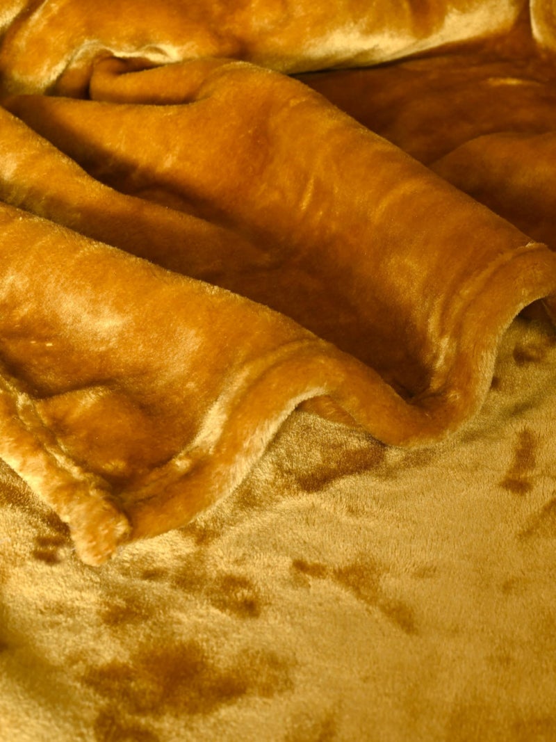 SARAL HOME EASY LIVING Saral Home Light Weight Cloudy Mink Silky-Soft Quilt/Blanket All Seasons, Gold. 60x90 Inch - Image 2