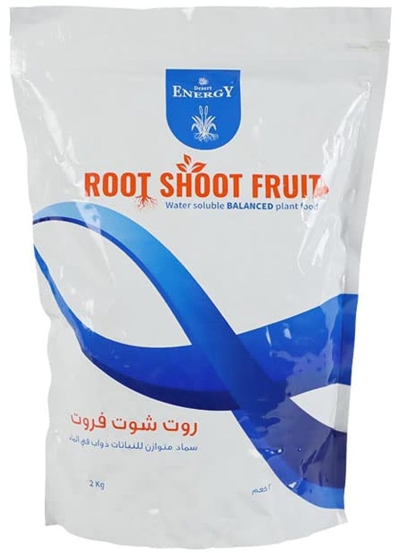 DESERT ENERGY Root Shoot Fruit NPK 20-20-20 2KG General Fertilizer For Healthy Plants  - Image 1