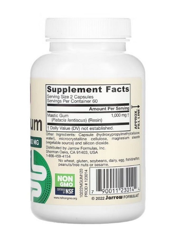 jarrow formulas Mastic Gum 500 mg 120 Veggie Capsules - Image 2