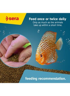 Sera Discus Granules 1.1 lb 1000 ml Pet Food, One Size - pzsku/ZFD6B3E7E9A9543F754EDZ/45/_/1736426695/7891b80c-f796-45a1-9605-1dade1707d78