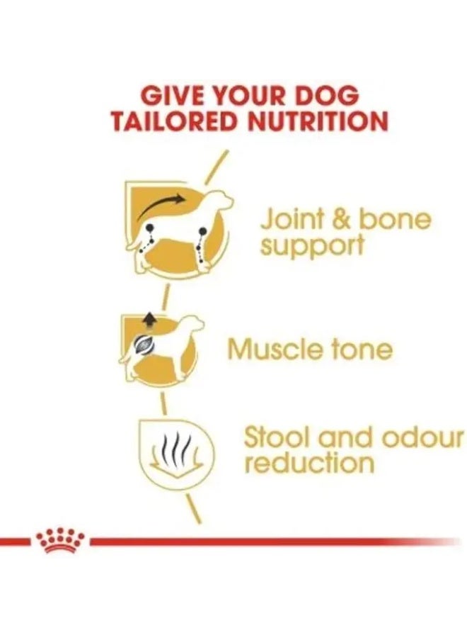رويال كانين كيس طعام جاف للكلاب البالغة من نوع داشهند، 1.5 كجم - Image 4
