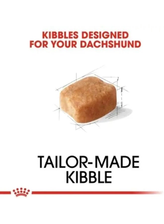 رويال كانين كيس طعام جاف للكلاب البالغة من نوع داشهند، 1.5 كجم - Image 3