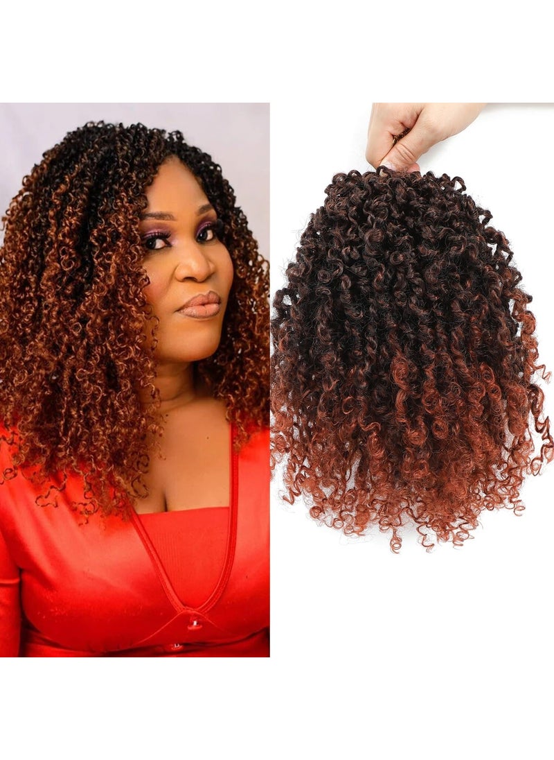 datanala - Datanala Yanky Twists Crochet Braiding Hair 10 Inch 9 Packs Crochet Hair with Curls Micro Spring Twists Crochet Hair Prelooped Curly Crochet Braids Hair Extensions for Women T350new 10inch - Image 1
