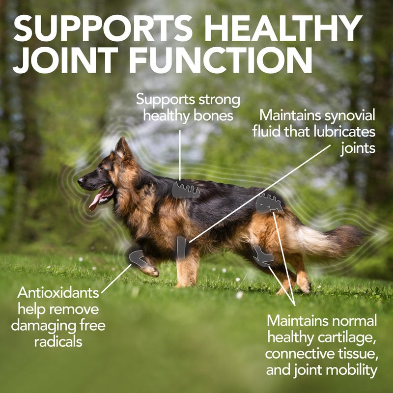 Vet's Best Advanced Hip & Joint Dog Supplements | Formulated with Glucosamine and Chondroitin to Support Dog Joint and Cartilage Health (3165810242) - Image 2