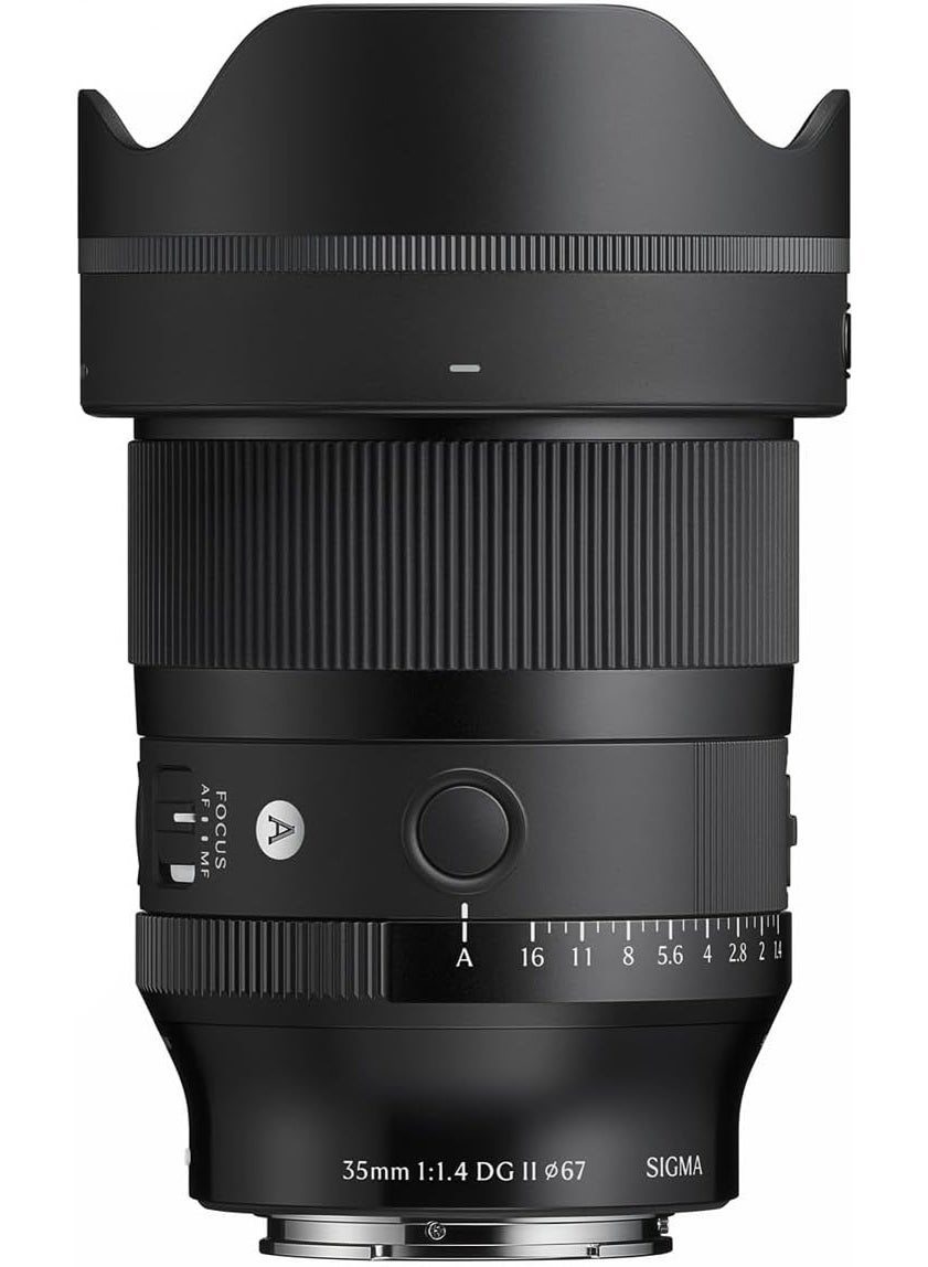 sigma Sigma F1 4 Dg Ii Art