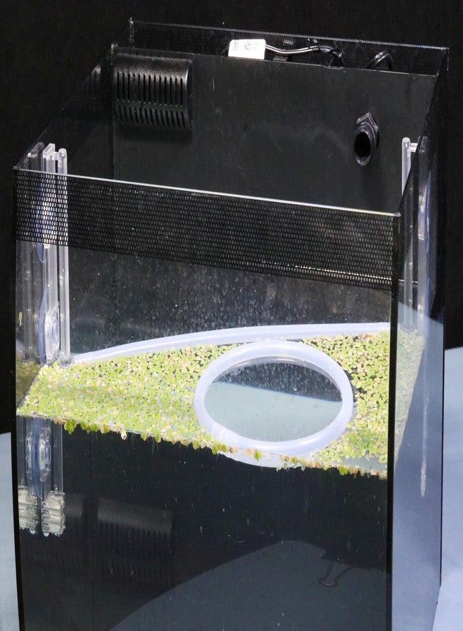 onten Aquarium Floating Plant Corral, As The Water Level Risers and Falls Automatically - Image 5