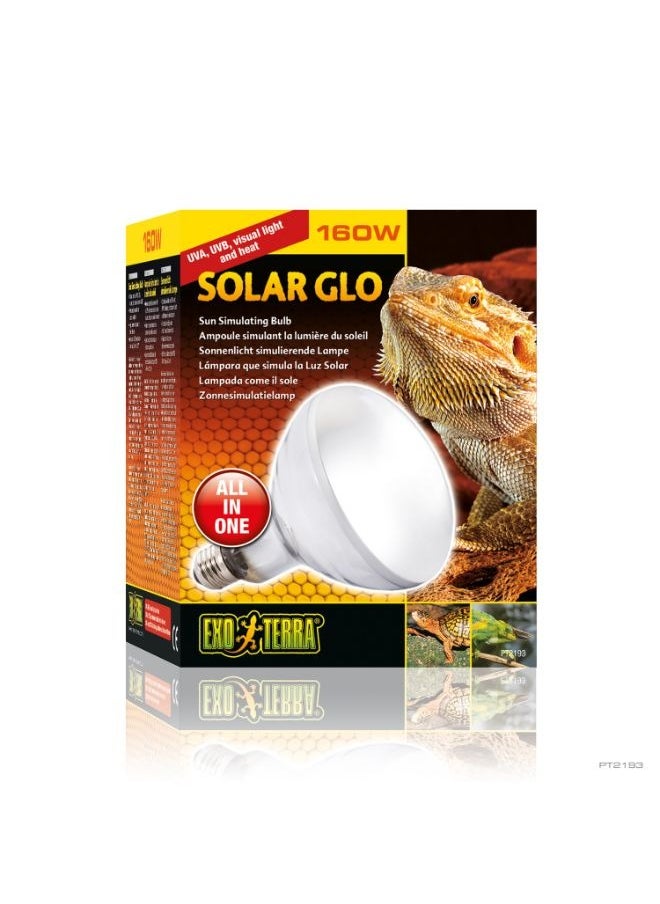 Exo Terra Solar Glo Wide Beam 160W - pzsku/ZFD6FEC0EFBD149675A75Z/45/_/1734345927/32625ac5-c9a8-4699-99a9-fc265d4d2c7f