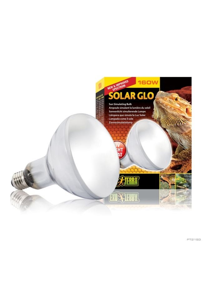 Exo Terra Solar Glo Wide Beam 160W - pzsku/ZFD6FEC0EFBD149675A75Z/45/_/1734345927/758d04d2-526b-4eb0-81a1-18e2625e7670