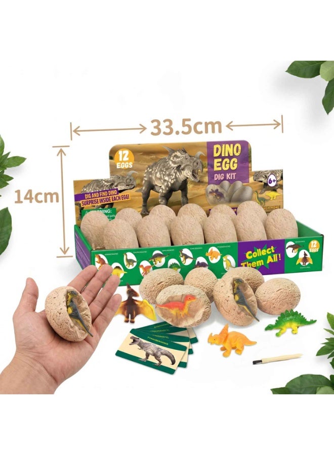 Dinosaur Eggs Dig Kit 12 Pack,Discover Different Dinos,Archaeology And Paleontology Toy,Dino Egg Excavation Stem Toys,For Boys Girls Kids Gift - Image 4
