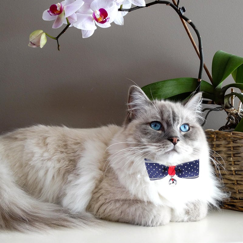 Adjustable Pet Collar With Bell Bow Tie UK Flag Navy Star Patterns Small Size - Image 4