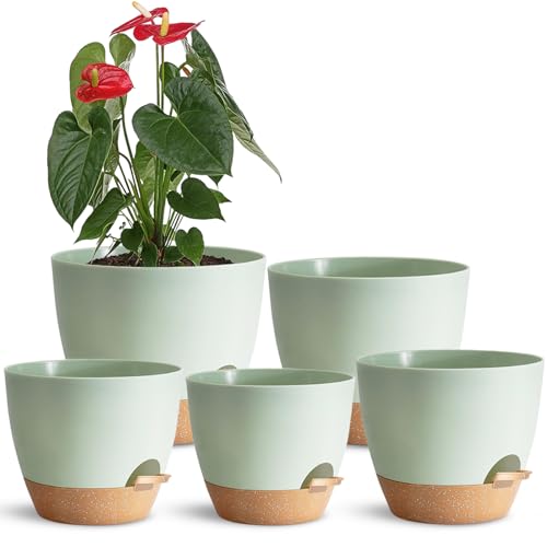 SE SUN-E Indoor Plant Pots With Drainage Holes and Saucers Planting Pots for All HousePlants Green Plastic Flower Pots with Drainage Hole Self Watering Plant Pot Gift Idea For Home Decor Succulent Pots - Image 1