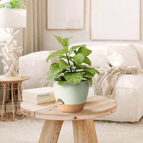 SE SUN-E Indoor Plant Pots With Drainage Holes and Saucers Planting Pots for All HousePlants Green Plastic Flower Pots with Drainage Hole Self Watering Plant Pot Gift Idea For Home Decor Succulent Pots - Image 5