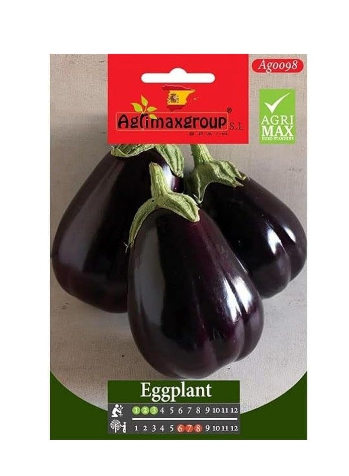 بذور الباذنجان عالية الجودة من