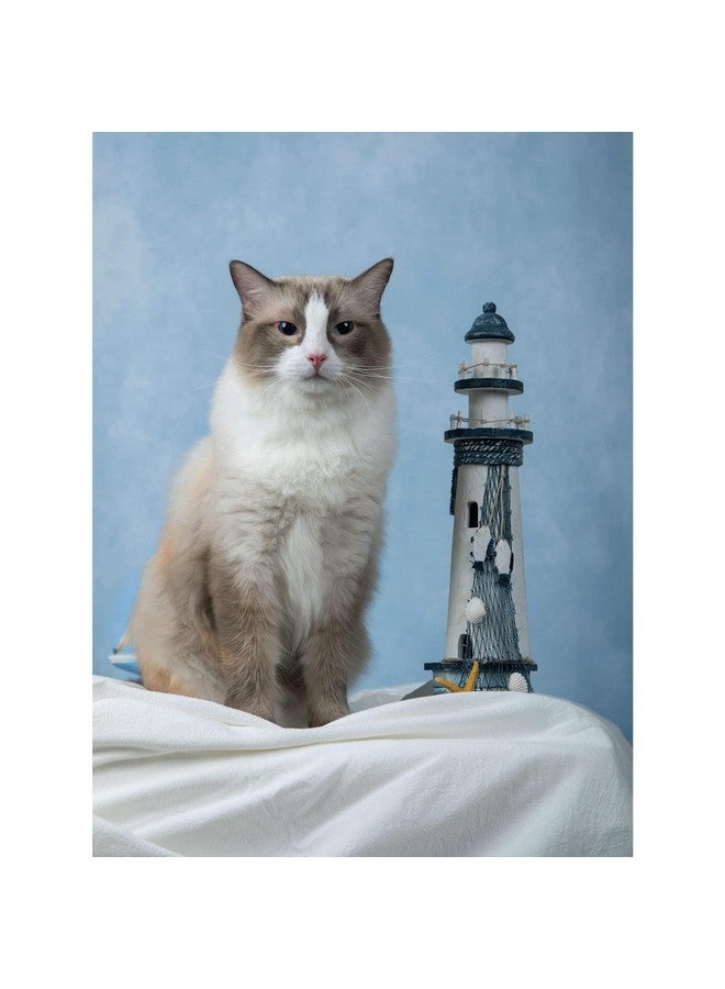 Kate 8X8Ft/2.5X2.5M Blue Backdrop Texture Baby Blue Portrait Photo Shoot Studio Props - Image 3