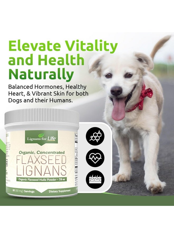 Lignans For Life - Lignans for Life - Natural Bulk Ground Flaxseed Powder - Omega 3 & 6 Fatty Acids Filled High Fiber Antioxidants - Support Healthy Heart & Hair, Healthy Immune System - 60 Servings 80mg per tab, 2 Pack - Image 1