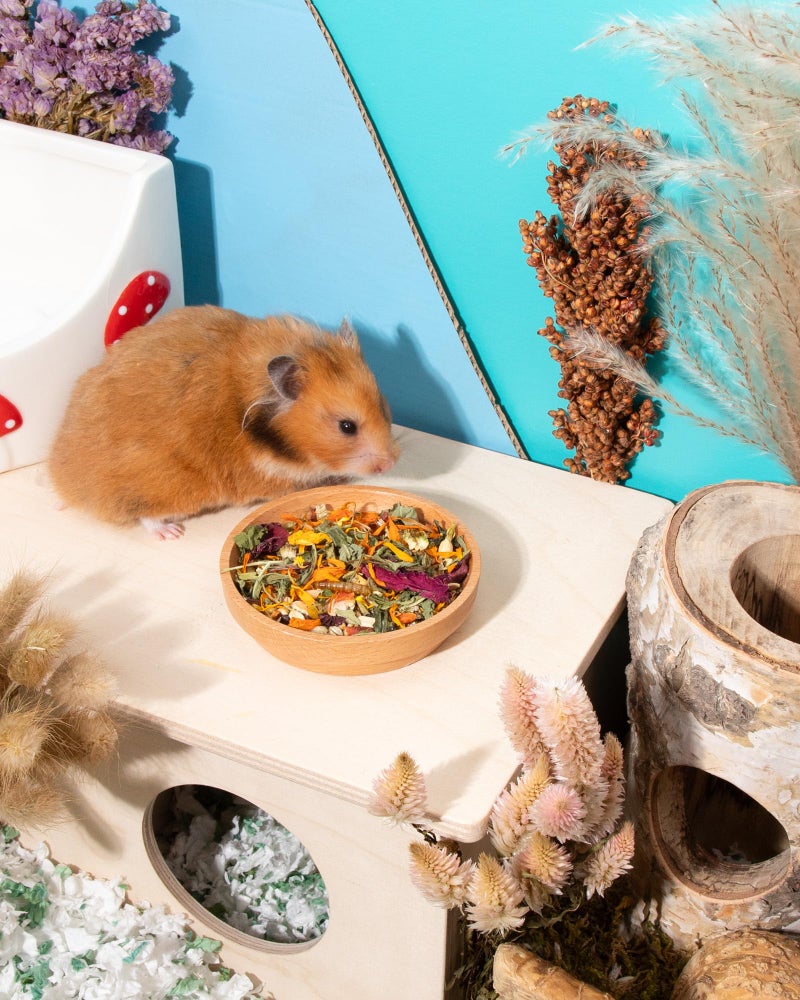 Niteangel Hamster Food & Treats Toy - Small Animal Natural Food for Syrian Golden Hamsters or Other Small-Sized Pets - Image 5