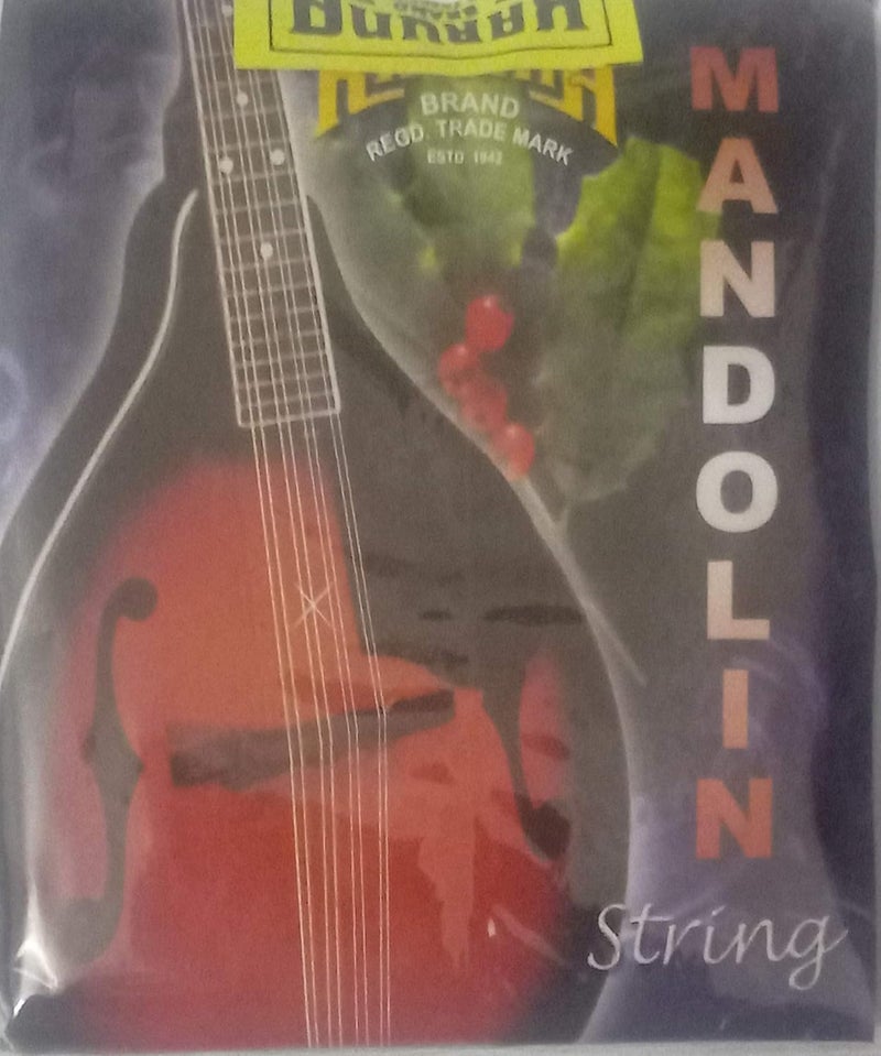 MANDOLIN STRING BY CHENNAI MUSICALS