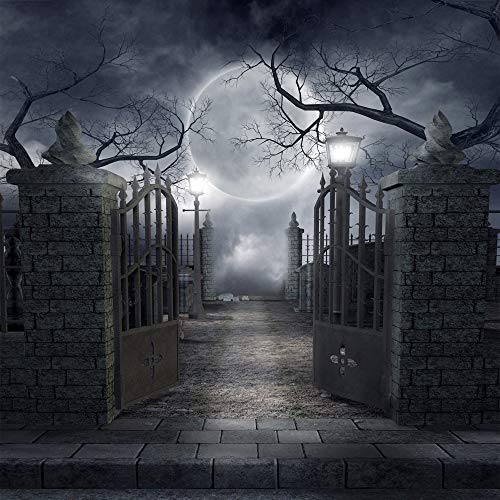 OUYIDA 10X10FT Halloween Theme Pictorial Cloth Customized Photography Backdrop Background Studio Prop TP17C - Image 3