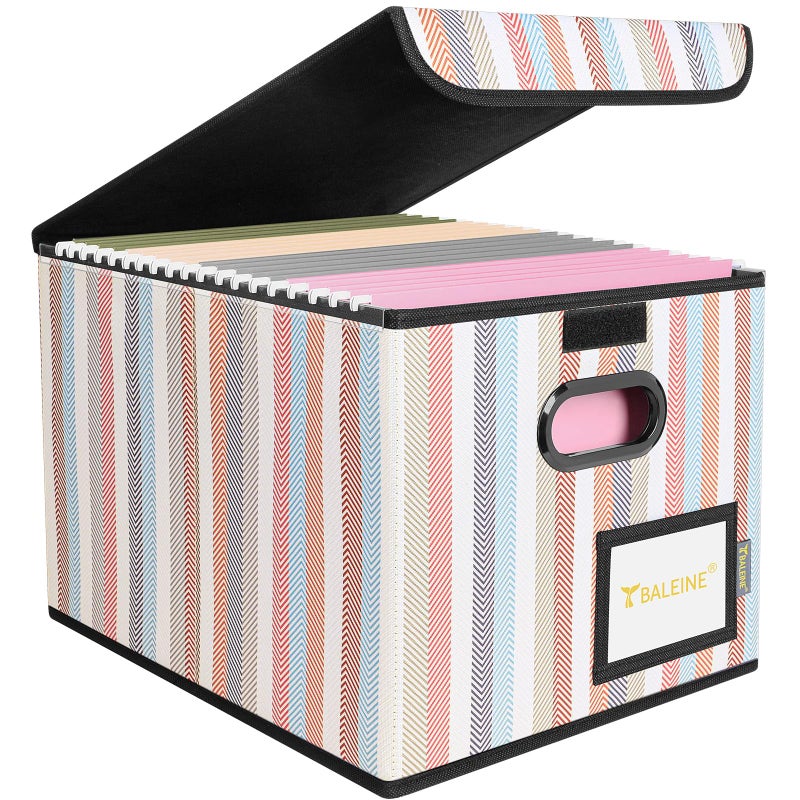 BALEINE File Organizer Box with Lid, Collapsible File Folder Organizer with Plastic Slide, Hanging File Folder Box for Office Document Storage (1 Pack, Color Stripe) - Image 1