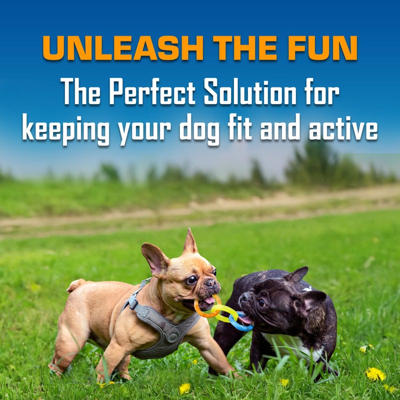 Nerf Dog 3-Ring Tug Outdoor Dog Toy, 7.5 Inch Ring Dog Tug Toy for Puppies and Small Breeds, Blue/Green/Orange - Image 3