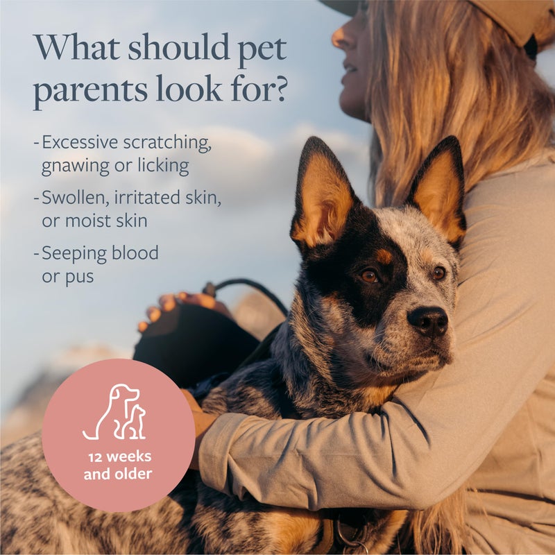 Veterinary Formula بخاخ علاجي للبقع الساخنة والحكة من Veterinary Formula، سعة 8 أونصات، بخاخ سهل الاستخدام للكلاب والقطط يساعد على تخفيف حكة الجلد الحساس ولعق الفراء - Image 5