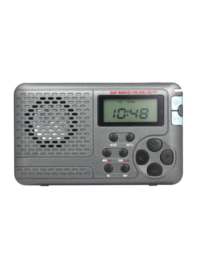 NIBEMINENT Portable Stereo DSP Radio Receiver V7595 Grey - Image 1