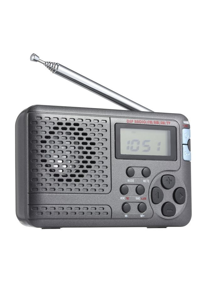 NIBEMINENT Portable Stereo DSP Radio Receiver V7595 Grey - Image 3