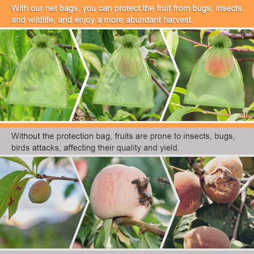 Shintop 100Pcs Fruit Protection Bags, 6x9 Inch Green Fruit Tree Netting Cover Drawstring Mesh Tomato Bags Pest Barrier for Apples Mango - Image 2