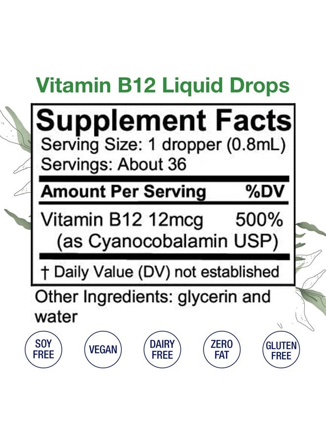 HoneyCombs Vitamin B12 Liquid Drops – B12 Liquid Cyanocobalamin Drops to Support Brain Function & Heart Health – Liquid Vitamin Energy Supplement – Alcohol-Free Skin, Nails & Hair Vitamin Supplement, 1 Fl Oz. - Image 2
