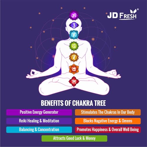JD FRESH 300 Beads, 7 Chakra Crystal Tree, Showpiece Good Luck and Positive Energy, Showpiece for Living Room, Natural Healing Gemstones Money/Lucky Tree for Good Luck, Multicolor - Image 3