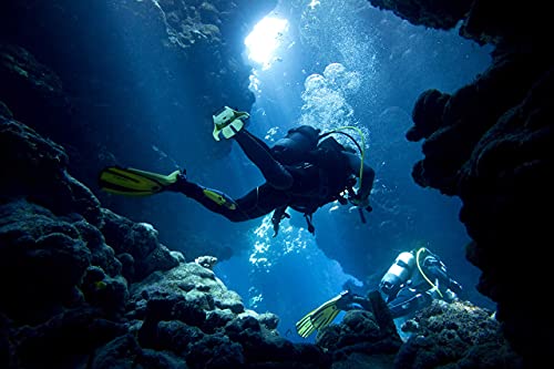 Bahia Dive Supply Stainless Steel Diving Snorkeling Safety Knife with Quick Release Adjustable Leg Straps & Locking Sheath, 5 inch Blade - Image 3