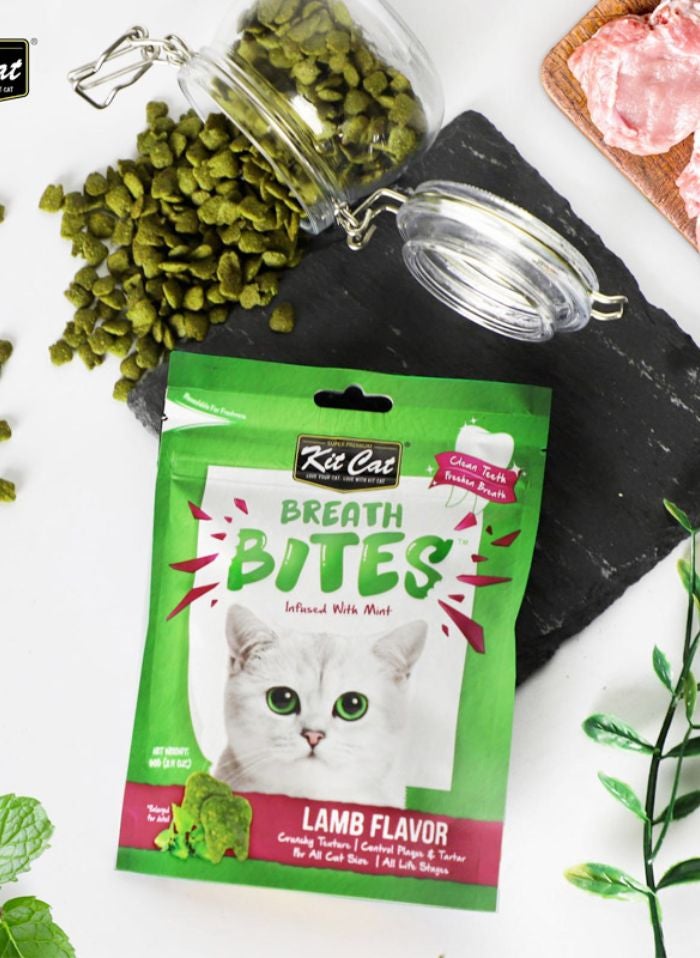 Kit Cat Breath Bites Lamb Flavor 60g - Image 2