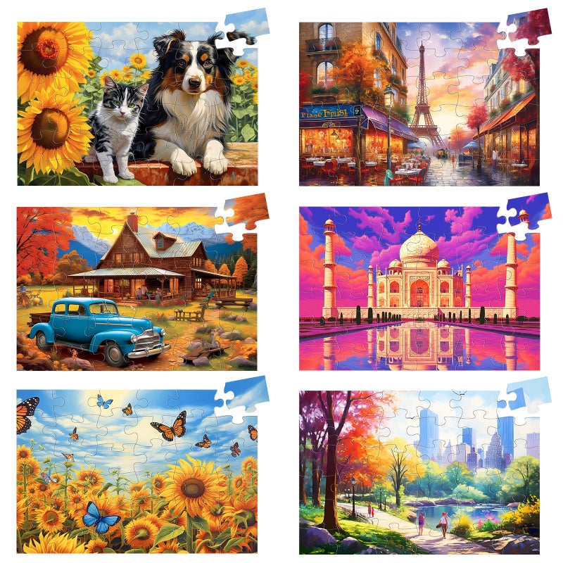 Biarek 6 Pack 36 Large Piece Puzzles for Seniors Puzzle Dementia Alzheimers Products Activities for Elderly Adults Easy Jigsaw Puzzle Alzheimers Gift for Patients in Nursing Home with 6 Storage Bags - Image 2