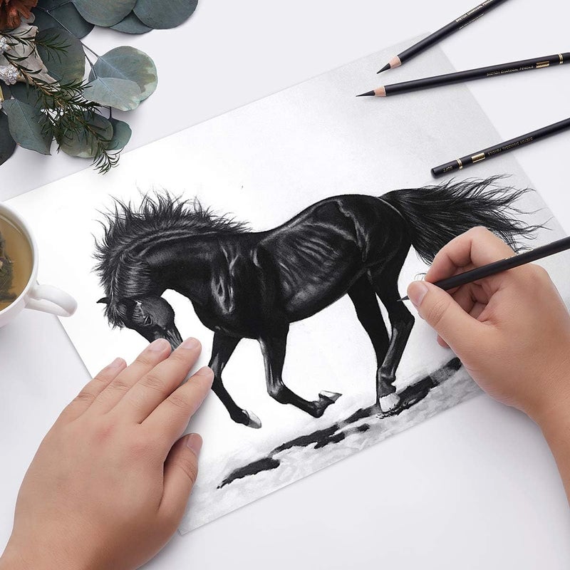 MARKART Professional Charcoal Pencils Drawing Set - 10 Pieces Soft Medium and Hard Charcoal Pencils for Drawing, Sketching, Shading - Image 5