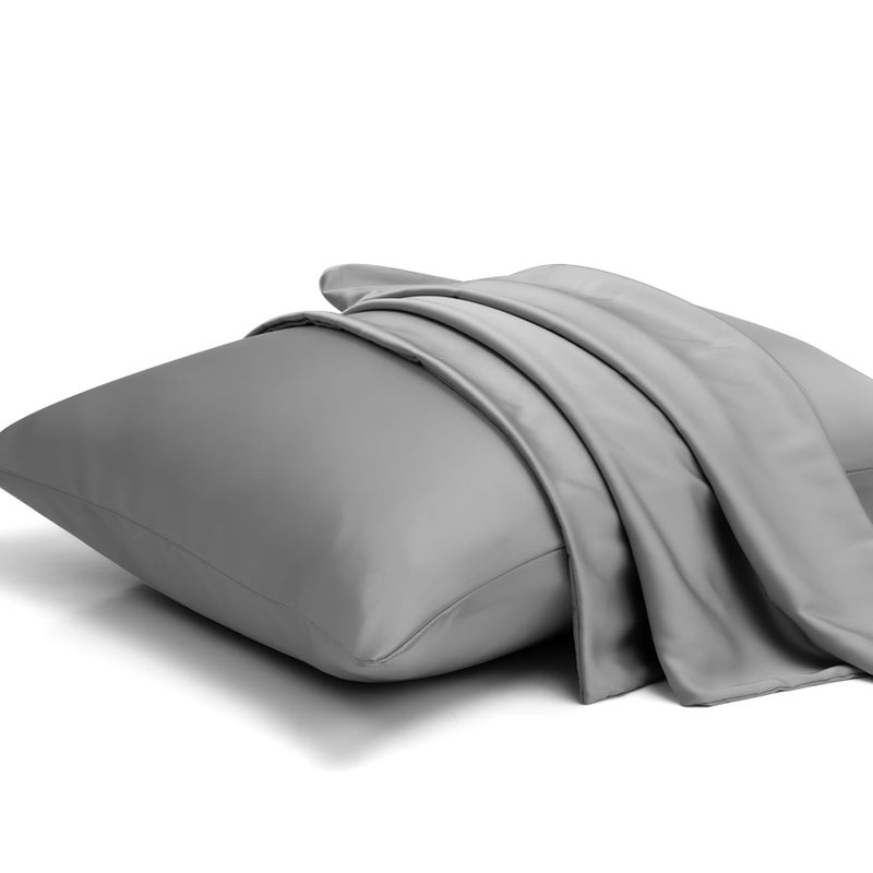 BPC 100 Mulberry Silk Pillowcase Set of 2 Standard Size Silk Pillow Cases for Hair and Skin Silky Smooth Bed Pillow Cover with Hidden Zipper Present for Women Men 20x26 Frost Gray